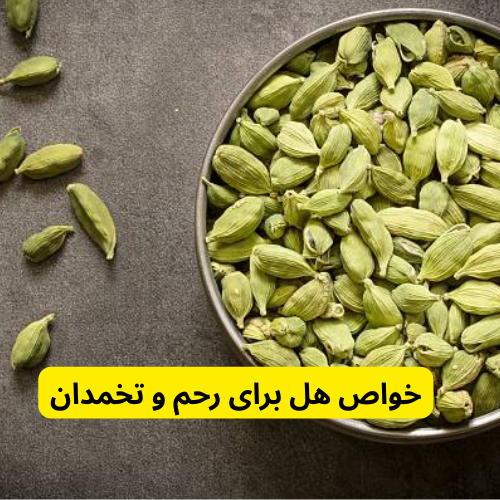 خواص هل برای رحم و تخمدان 1 خواص هل برای رحم و تخمدان