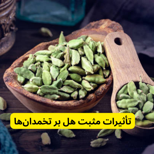تأثیرات مثبت هل بر تخمدان‌ها